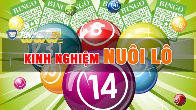 kinh-nghiem-nuoi-lo-1