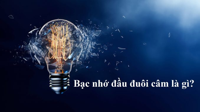 Bạc nhớ đầu đuôi câm là gì? Bạc nhớ đầu đuôi câm là gì?