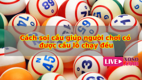 Bí quyết giúp người chơi có được cầu lô chạy đều theo năm Bí quyết giúp người chơi có được cầu lô chạy đều theo năm